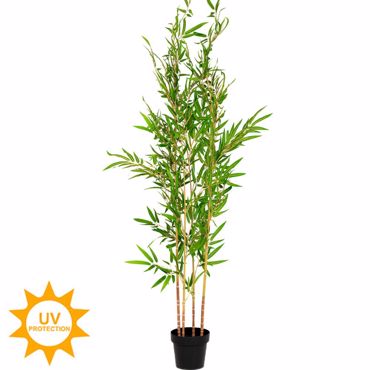 Iliadis Μπαμπού Φυτό με UV και Fire Protection (Βραδύκαυστο) Φ65x195cm 92197