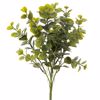 Iliadis Riza Efkaluptos Prasini 40cm 92886