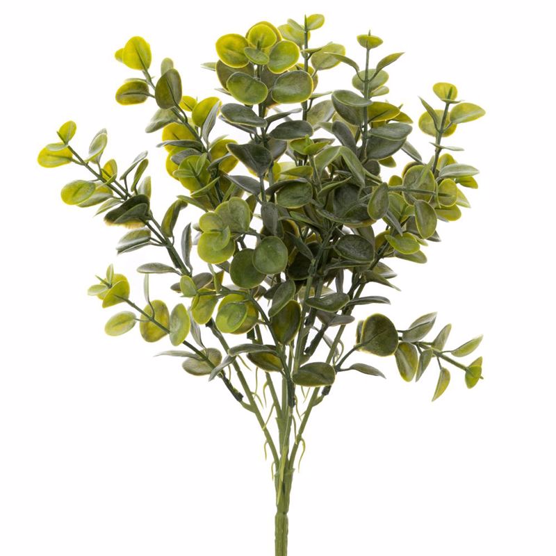 Iliadis Ρίζα Ευκάλυπτος Πράσινη 40cm 92886