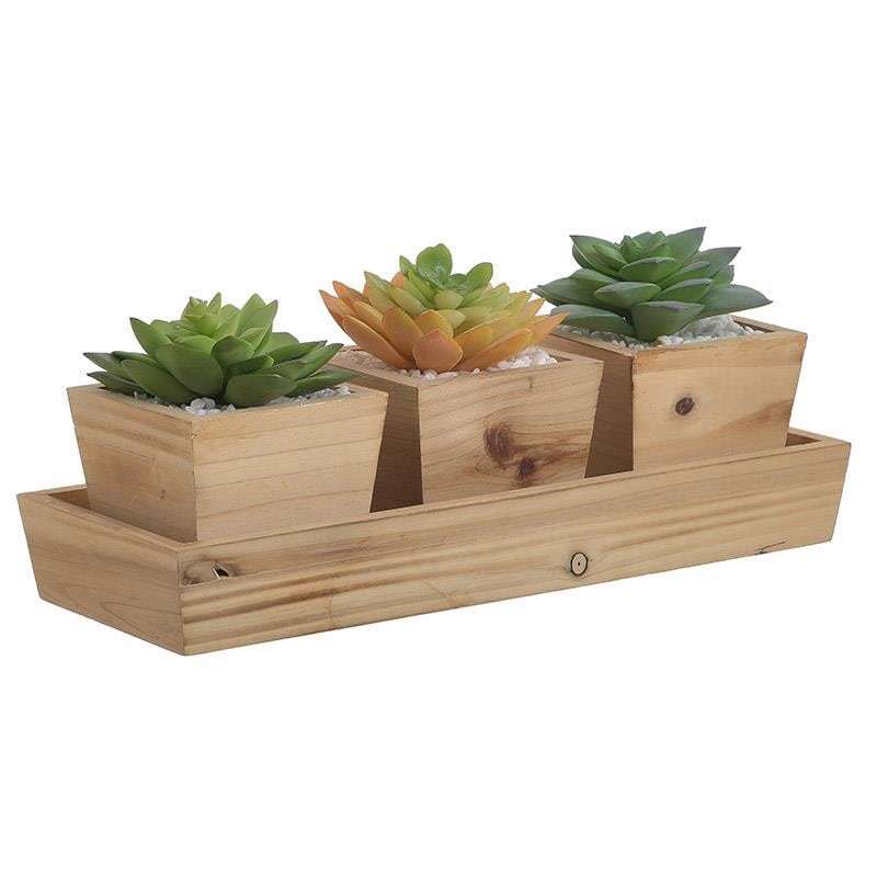 INART ΣΕΤ ΤΩΝ 3 ΦΥΤA ΣΕ ΓΛΑΣΤΡΑ 3 ΣΧΕΔΙΑ 32X12X14 3-85-475-0236