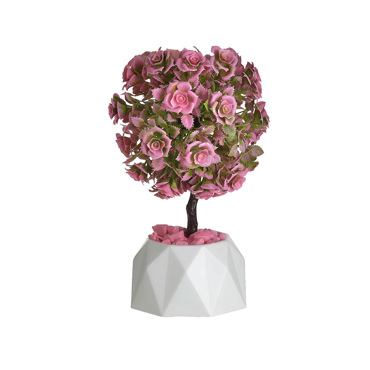 Click Φυτό σε Γλαστράκι Διαφορά Χρώματα PL 6-85-033-0010