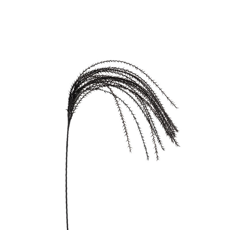 InTheBox - Maison POISON Τεχνητό Κλαδί EVA FOAM Μαύρο 1