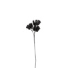 InTheBox - Maison ARUM Texnito Anthos EVA FOAM Mavro 95cm 014999