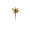 InTheBox - Maison GUAM Texnito Anthos EVA FOAM Kafe/Prasino 85cm 015018