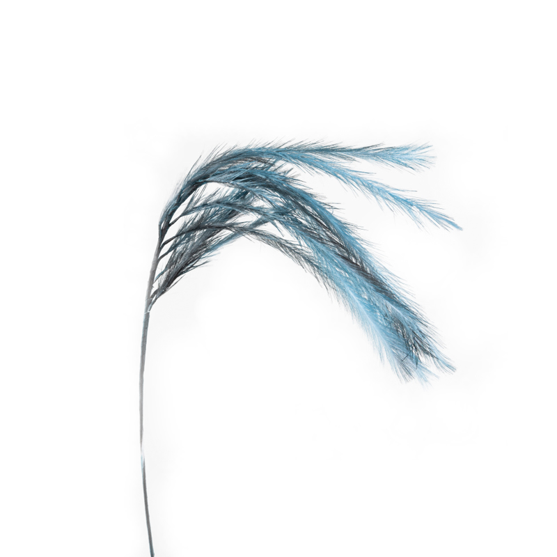 Γλάστρες - Ζαρντινιέρες agiovlasitishome - ΣΗΜΑΝΤΙΚΟ: Σε περίπτωση διαφοράς τιμής από το κατάστημα ισχύει παντα και μόνο η τιμή του καταστήματος InTheBox - Maison POLUO Τεχνητό Κλαδί EVA FOAM Μπλε/Γκρ