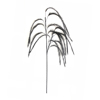 InTheBox - Maison POISON Texnito Kladi EVA FOAM Mavro 130cm 018462