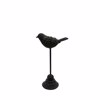 InTheBox - Maison FUGLE DECO Pouli Resin Mavro 15x15x18.3cm 018549