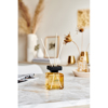 InTheBox - Maison Ipuro Essentials Soft Vanilla Aromatiko Xorou 50Ml 5X6X15 Gyali 019303