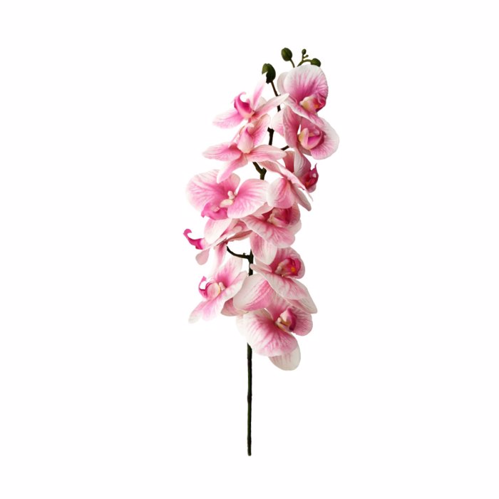 InTheBox - Maison ORCHIDEE Texnito Louloudi PEVA Roz/Lefko 91x16x10cm 020263