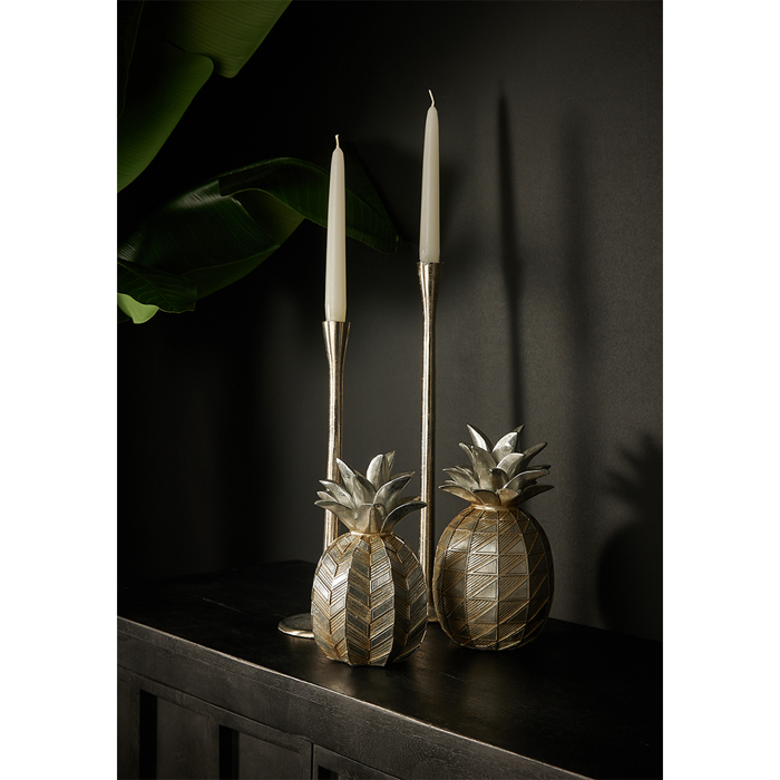 InTheBox - Maison ANANNIA DECO Ananas Resin Asimi F12.5x21.5cm 020756