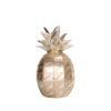 InTheBox - Maison ANANNIA DECO Ananas Resin Asimi F13.5x24cm 020757