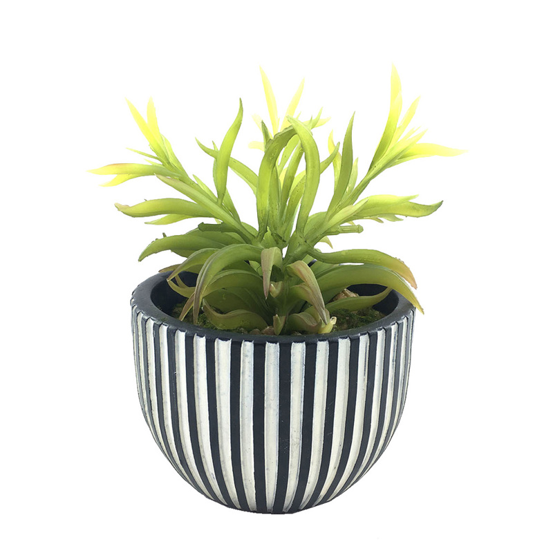 InTheBox - Maison LAKHSMI 3 Τεχνητό Φυτό σε Κασπώ Resin