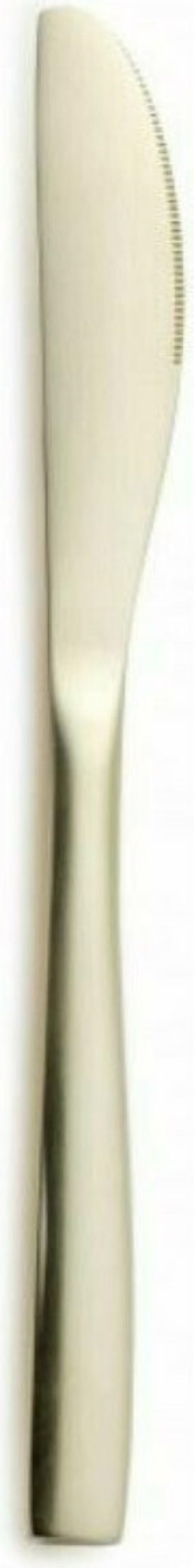 Comas Μαχαίρι Φαγητού 18/0 10cm 6735-Champ CO06735000