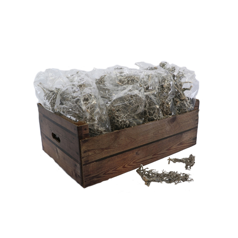 Liberta-Maison Bonsai Διακοσμητικό Κλαδί 016633