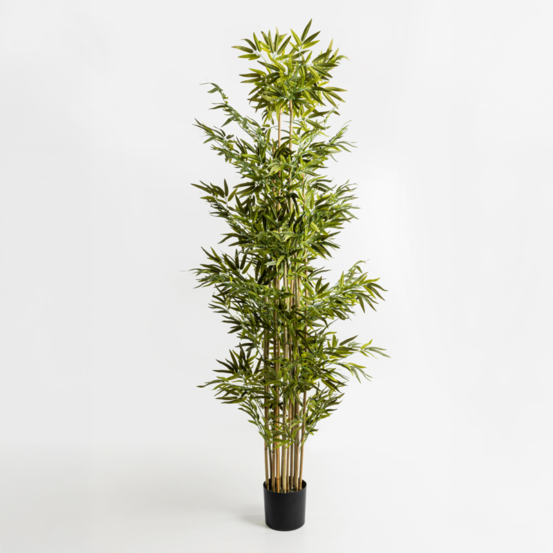 Liberta - Maison BAMBOO Δέντρο σε Γλάστρα Polyester Πράσινο PVC 210cm 019202