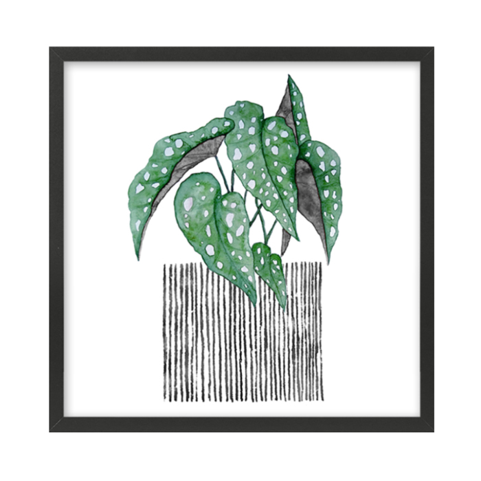 Liberta - Maison BILIA Set ton 2 Pinakas apo Xarti kai MDF Poluxromo kai Mavri Korniza 50x50x2cm 022052