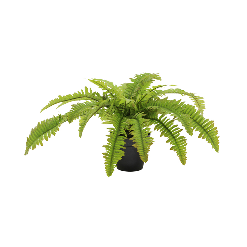 Liberta-Maison Boston Fern Φυτό Τεχνητό Σε Γλάστρα 36cm Polyester Πράσινο PE/PP 022411
