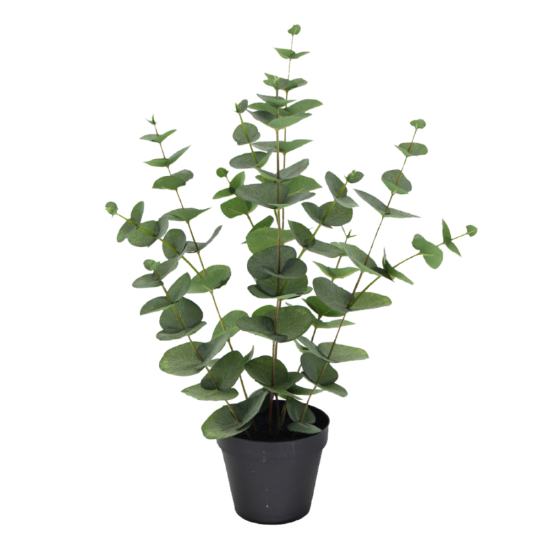 Liberta-Maison Eucalyptus Φυτό Τεχνητό Σε Γλάστρα 49cm Polyester Πράσινο PE/PP 022413