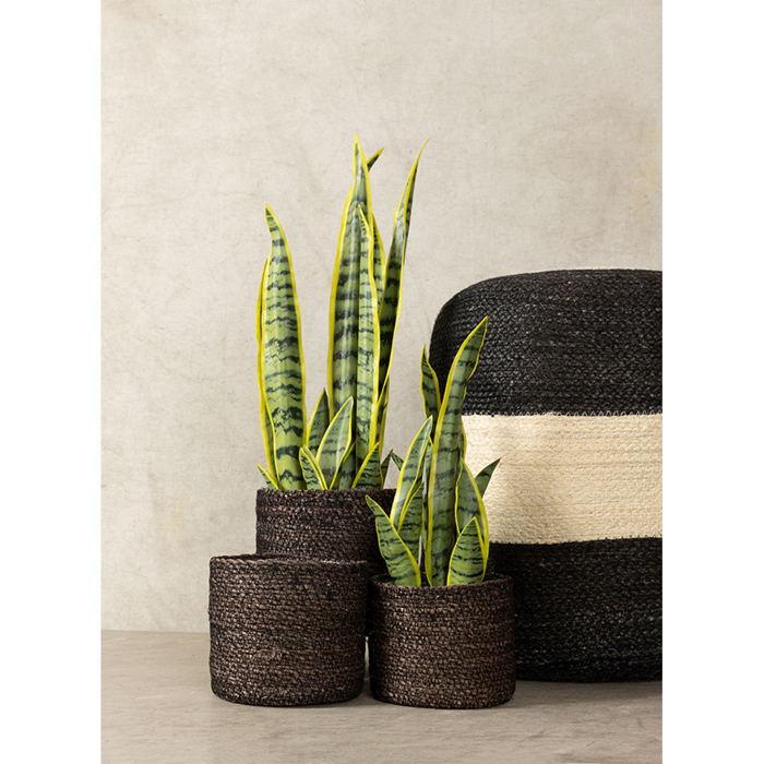 Liberta-Maison Del Mar Kaspo Set 3TMx 20x20x18cm Seagrass Mavro 027395