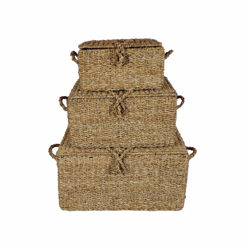 Liberta-Maison Almar Κουτί Αποθήκευσης Set 3Τμχ 50x34x25cm Seagrass Φυσικό Σίδερο 028664