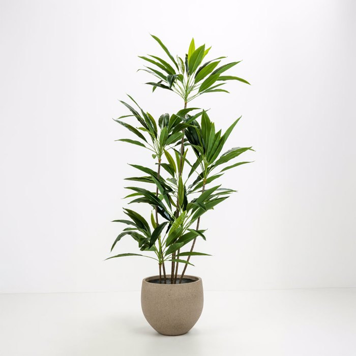 Liberta - Maison SCILLA Set ton 2 Gastra Tsimentenia Kafe Anoixto F40x34cm 029282