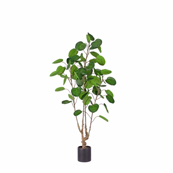 Liberta-Maison Money Pocket Dentro Texnito se Gastra 120cm PE Prasino 029865