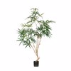 Liberta-Maison Peacock Tree Dentro Texnito se Gastra 180cm PE Prasino Metaxoto ufasma 029875