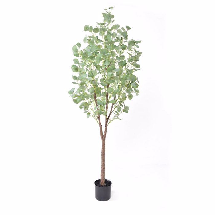 Liberta-Maison Silver Dollar Eucalyptus Dentro Texnito se Gastra 180cm PE Prasino Metaxoto ufasma 029879