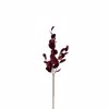Liberta - Maison XMAS BRANCH 1 Kladi Beloudino Kokkino 20cm 030325