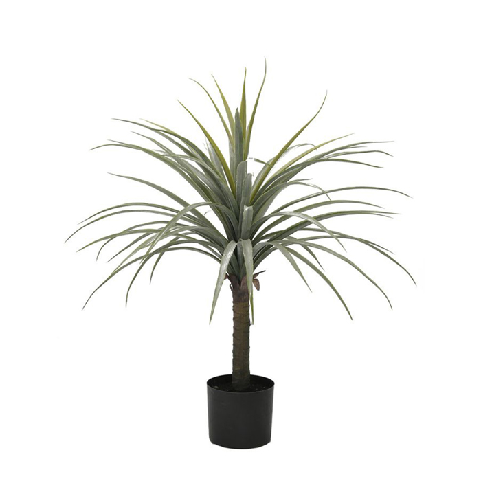 Liberta - Maison DRAGON Dentro se Gastra PVC Prasino PU 85cm 030730