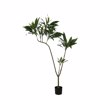 Liberta-Maison Thin Iron Dentro Texnito se Gastra 160cm PVC Prasino Mavro Tsimento 030844