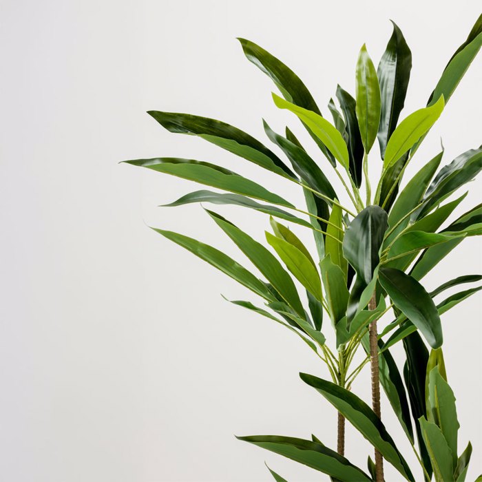 Liberta - Maison VELVET TREE Dentro Texnito PVC Prasino se Mavri Tsimentenia Gastra 120cm 030848