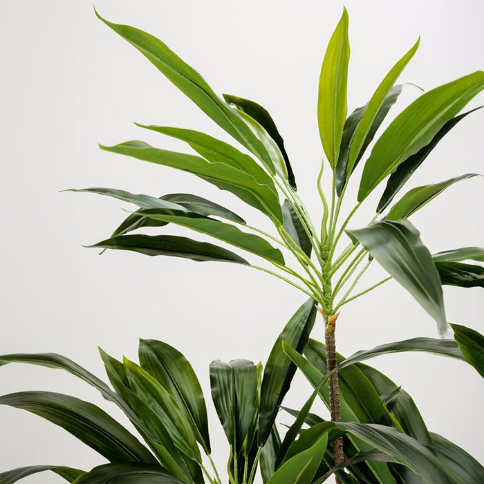 Liberta - Maison VELVET TREE Dentro Texnito PVC Prasino se Mavri Tsimentenia Gastra 140cm 030849