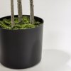 Liberta-Maison Fatsia Dentro Texnito Se Gastra 110cm ufasma Prasino PVC 031320