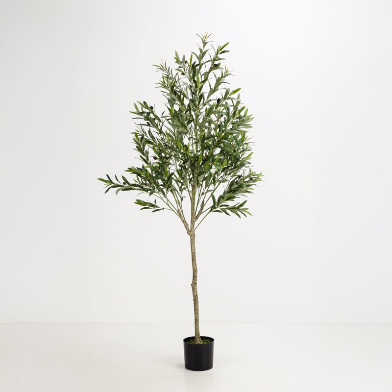 Liberta - Maison OLIVE TREE Δέντρο σε Γλάστρα Ύφασμα Πράσινο PVC 180cm 031321