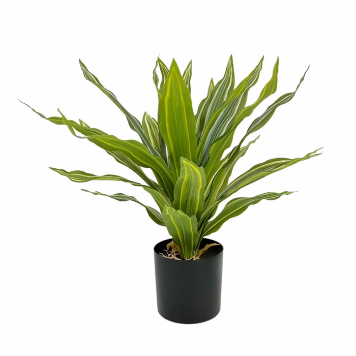 Liberta - Maison RAIN RIGA Futo se Gastra ufasma Prasino PVC 45cm 031323