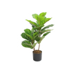 Liberta-Maison Fiddle Fig Dentro Texnito Se Gastra 65cm PEVA Prasino 032211