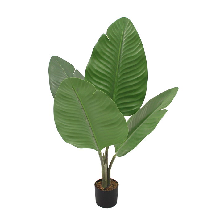 Liberta - Maison BANANA Dentro Texnito se Gastra PEVA Prasino 50cm 032212