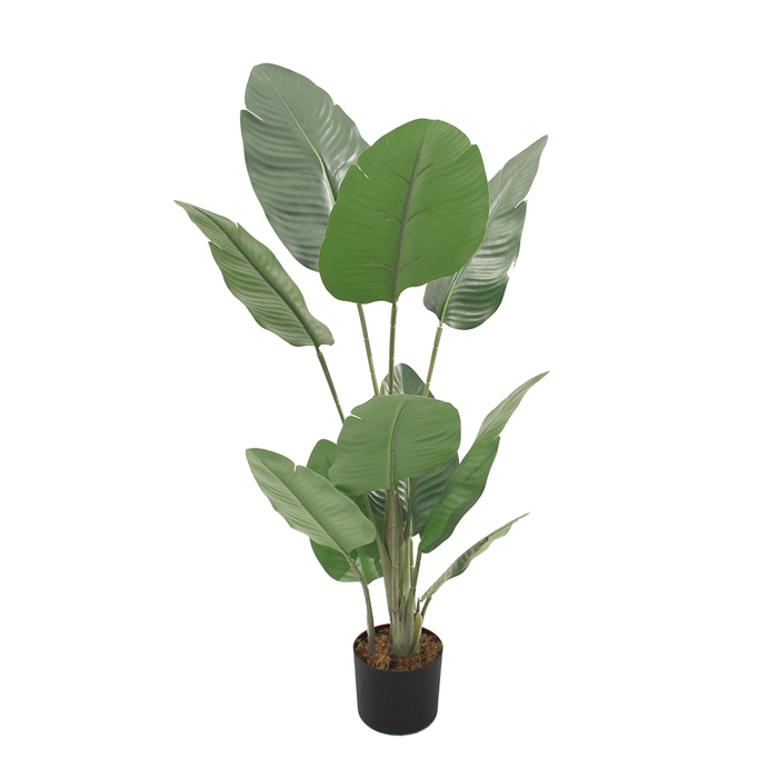 Liberta - Maison BANANA Dentro Texnito se Gastra PEVA Prasino 100cm 032215