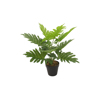 Liberta - Maison PHILODENDRON Futo Texnito se Gastra PEVA Prasino 45cm 032217