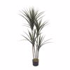 Liberta - Maison YUCCA Dentro Texnito se Gastra 130cm PE Prasino 032219