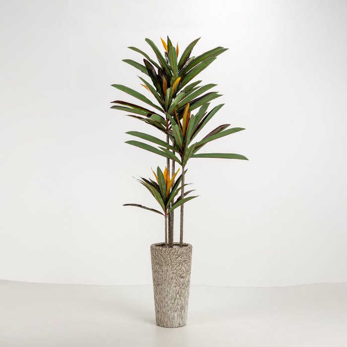 Liberta - Maison KANCHE Set ton 2 Gastra Keramiki Bez/Mavri F32x53cm 032439