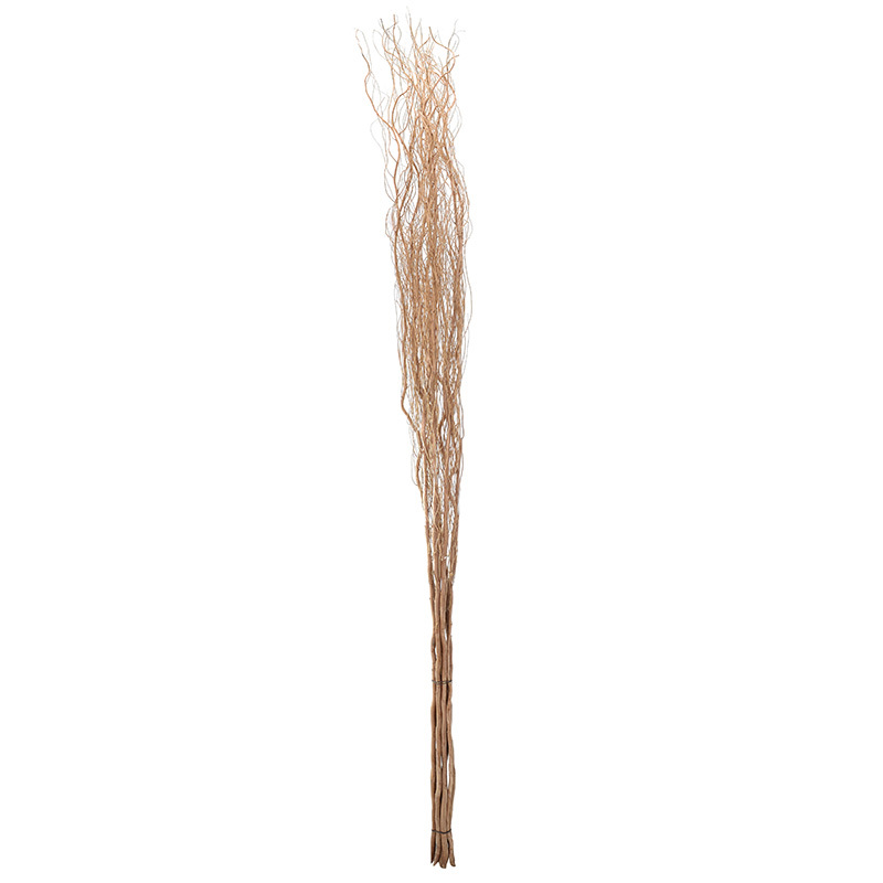 INART ΣΕΤ ΤΩΝ 10 ΔΙΑΚΟΣΜΗΤΙΚΟ ΚΛΑΔΙΑ NATURAL Y195 3-70-273-0009