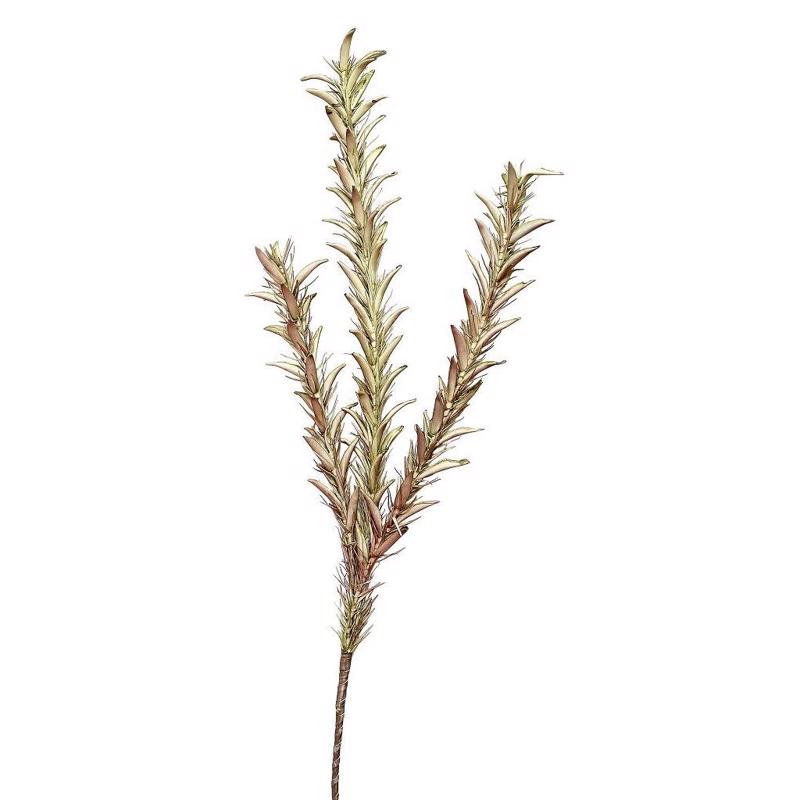 Γλάστρες - Ζαρντινιέρες agiovlasitishome - ΣΗΜΑΝΤΙΚΟ: Σε περίπτωση διαφοράς τιμής από το κατάστημα ισχύει παντα και μόνο η τιμή του καταστήματος Λουλούδι Πράσινο LOL763K6 Espiel