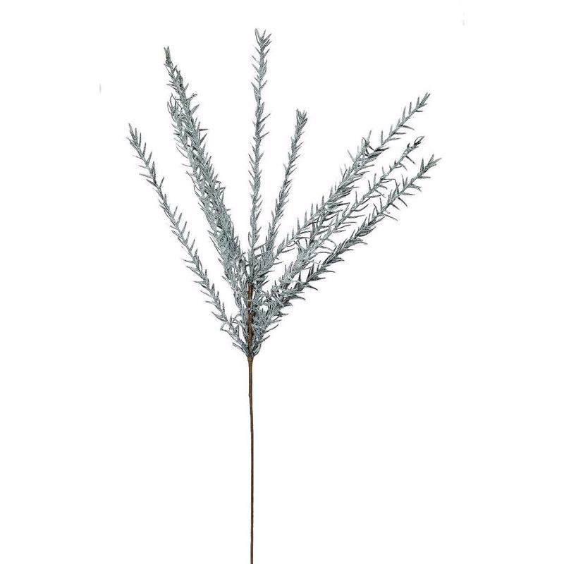 Γλάστρες - Ζαρντινιέρες agiovlasitishome - ΣΗΜΑΝΤΙΚΟ: Σε περίπτωση διαφοράς τιμής από το κατάστημα ισχύει παντα και μόνο η τιμή του καταστήματος Λουλούδι Μπλε LOL738K6 Espiel