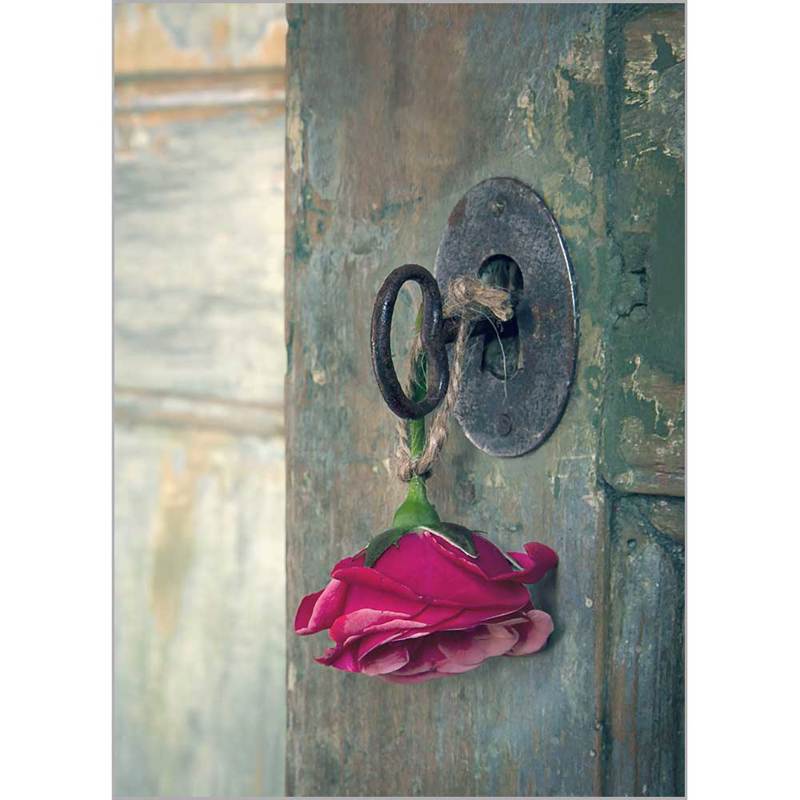 Κουρτίνες, στόρια agiovlasitishome - ΣΗΜΑΝΤΙΚΟ: Σε περίπτωση διαφοράς τιμής από το κατάστημα ισχύει παντα και μόνο η τιμή του καταστήματος Ρόλερ με Ψηφιακή Εκτύπωση 'Red Rose' Α0905