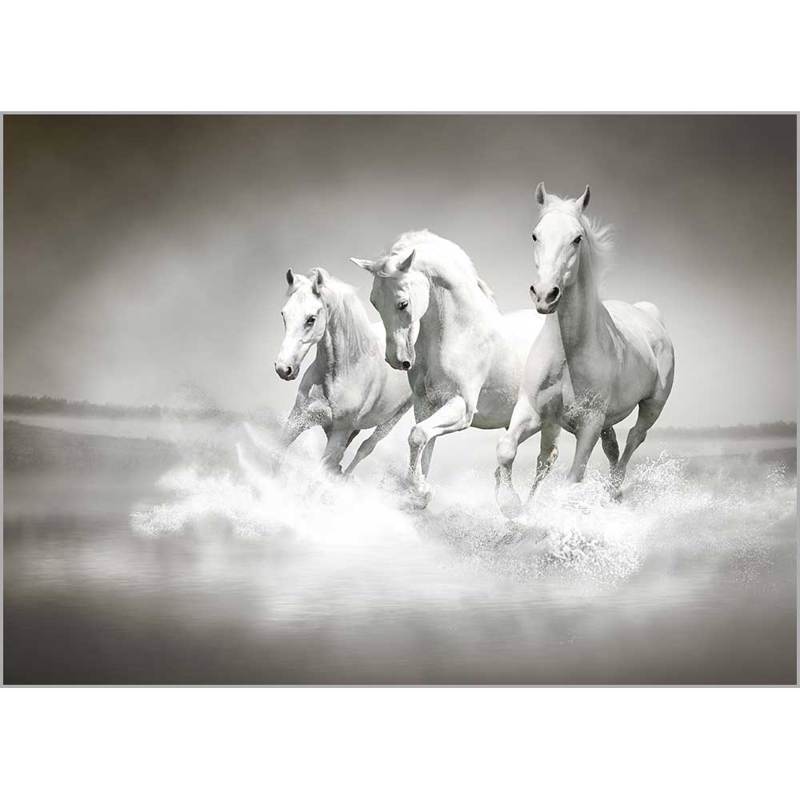 Κουρτίνες, στόρια agiovlasitishome - ΣΗΜΑΝΤΙΚΟ: Σε περίπτωση διαφοράς τιμής από το κατάστημα ισχύει παντα και μόνο η τιμή του καταστήματος Ρόλερ με Ψηφιακή Εκτύπωση 'White Horses' Α1306