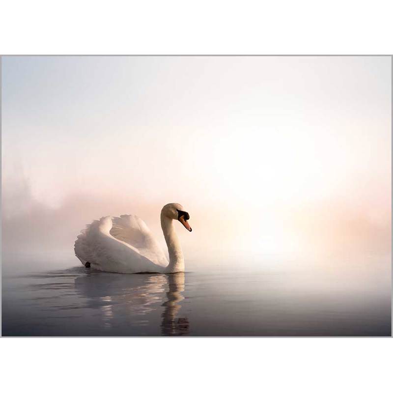 Κουρτίνες, στόρια agiovlasitishome - ΣΗΜΑΝΤΙΚΟ: Σε περίπτωση διαφοράς τιμής από το κατάστημα ισχύει παντα και μόνο η τιμή του καταστήματος Ρόλερ με Ψηφιακή Εκτύπωση 'Κύκνος' Α1307