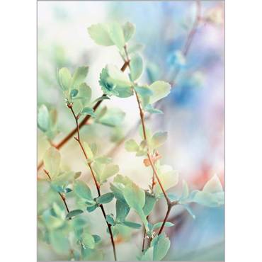 Ρόλερ με Ψηφιακή Εκτύπωση 'Spring Leaves' Α1513