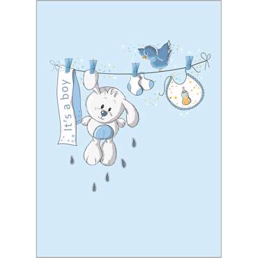 Ρόλερ με Ψηφιακή Εκτύπωση 'It'S A Boy' Α1611